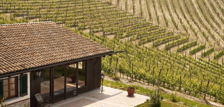 Vineyards view from Freisa suite