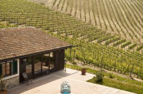 Vineyards view from Freisa suite