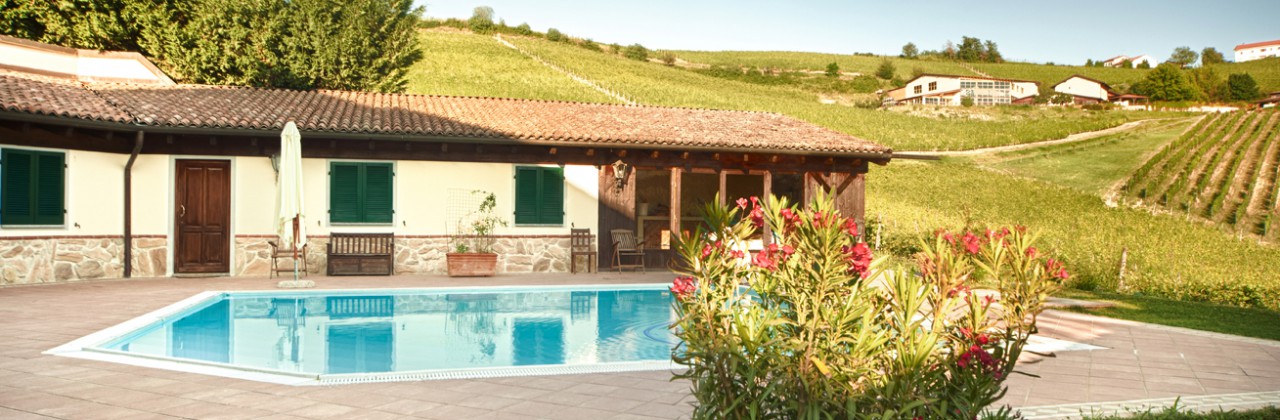 Swimming pool on vineyards